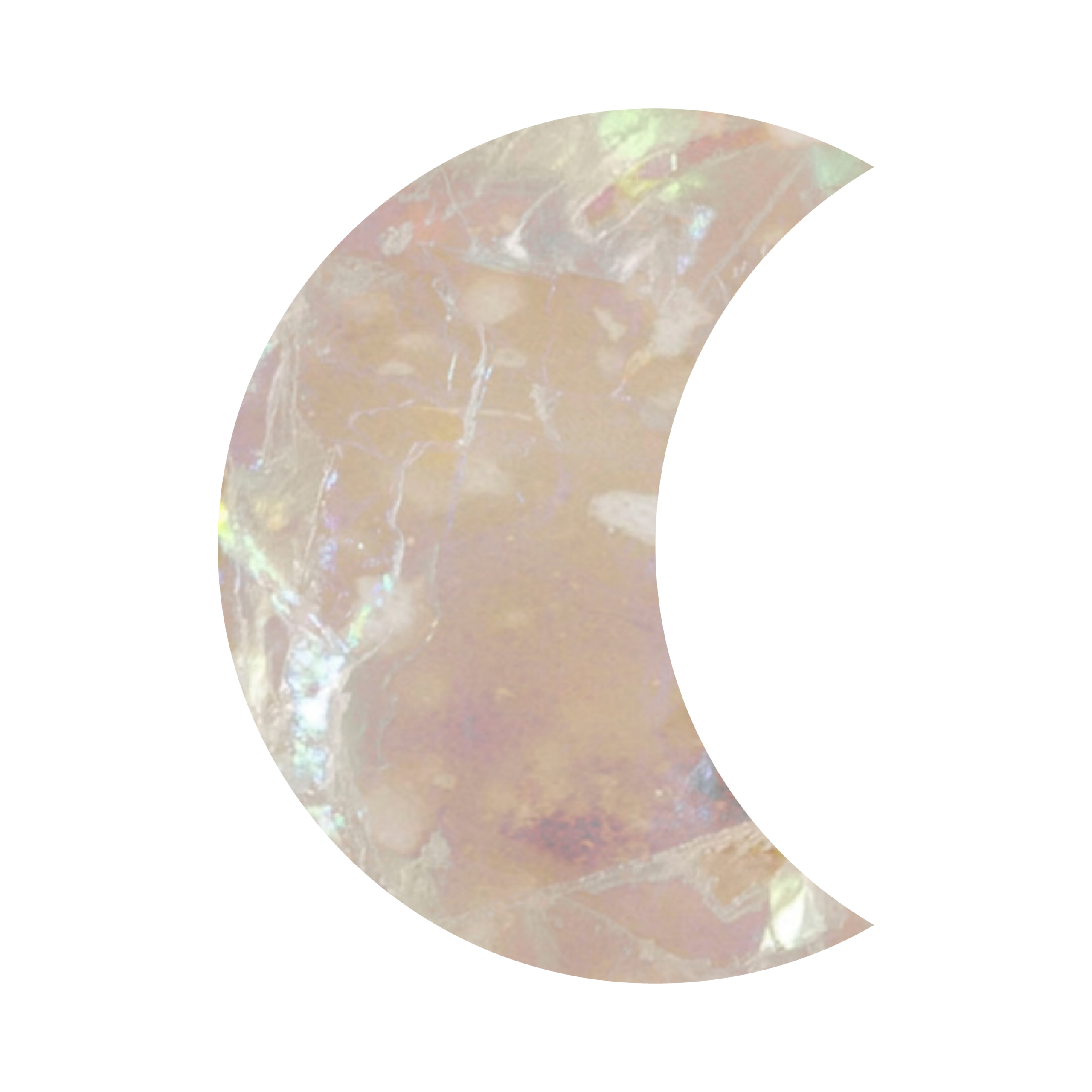 家族葬華やかプラン モチーフ